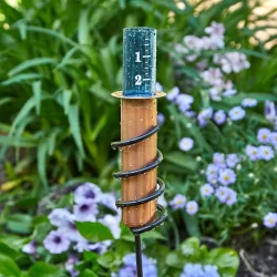 Copper-Rain-Gauge