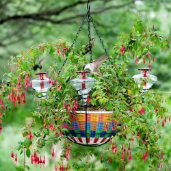 Hanging-Basket-Hummingbird-Feeder