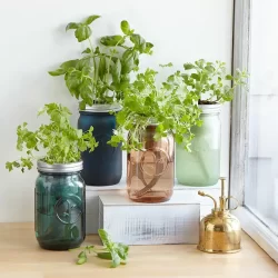 Mason-Jar-Indoor-Herb-Garden-1