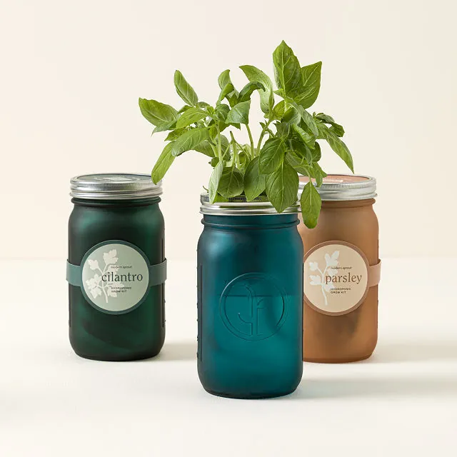 Mason-Jar-Indoor-Herb-Garden