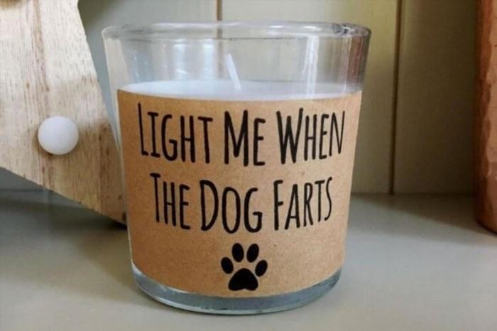 A dog lover was sentenced to light a candle as punishment for their actions.