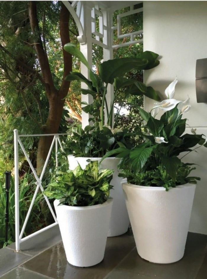 Dot TruDrop Self-Watering Planters are innovative and convenient plant containers that feature a built-in watering system, ensuring your plants receive the perfect amount of water without any hassle or guesswork.