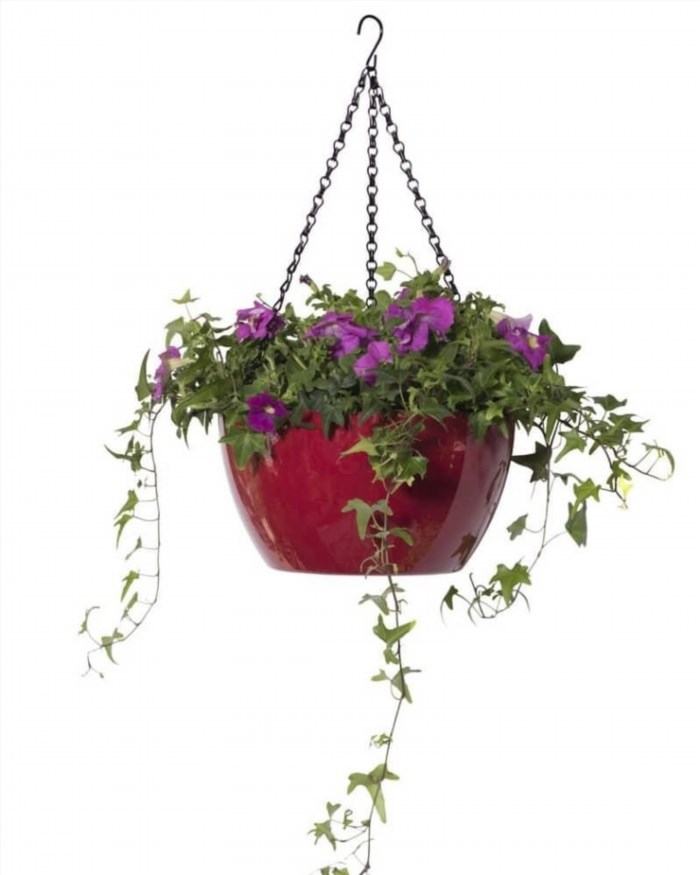 The Viva Self Watering Hanging Basket is a convenient and innovative solution for keeping your plants hydrated, as it features a built-in reservoir that automatically waters your plants as needed, making it easier to maintain their health and beauty.