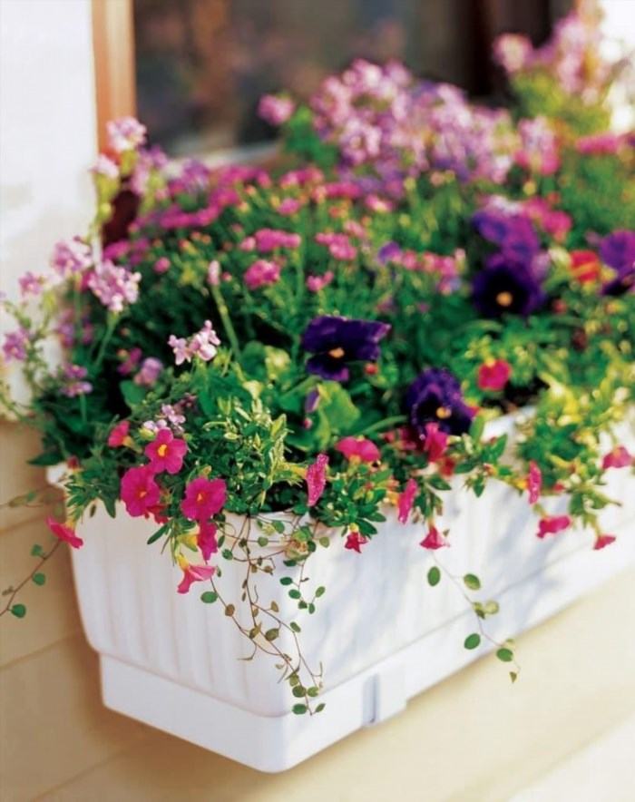 The Gardener's Supply Self Watering Window Box is a convenient and efficient solution for those who want to enjoy beautiful and thriving plants without the hassle of frequent watering.