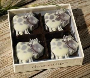 Cow Chocolates are a delectable treat made from high-quality milk, known for their smooth and creamy texture, and are loved by chocolate enthusiasts of all ages.