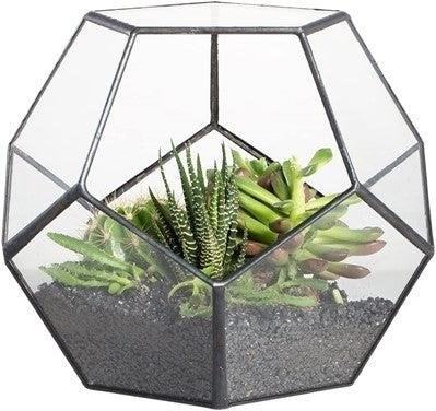 A Geometric Terrarium Container is a stylish and modern way to display your favorite plants or succulents, adding a touch of elegance and sophistication to any space.