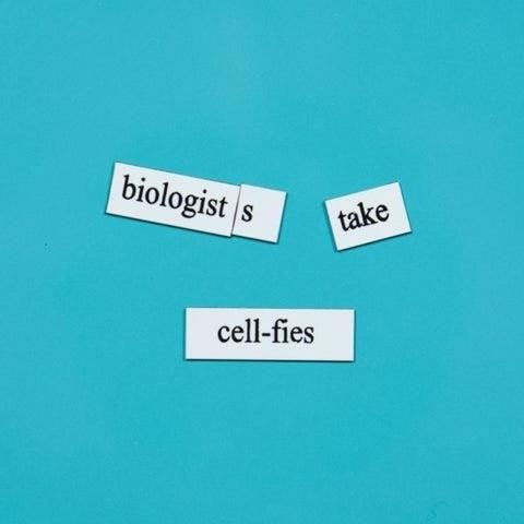 Microbiology Word Magnets are educational tools that help students learn and understand various microbiological concepts through interactive and engaging activities.
