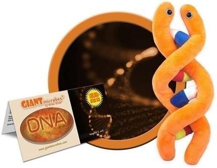 GIANTMicrobes - DNA Plush is a fun and educational toy that allows children to learn about the fascinating world of genetics and DNA by exploring the structure and functions of this fundamental molecule in a cuddly and huggable form.