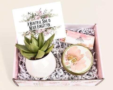 The Succulent Gift Box is a perfect present for plant enthusiasts, containing a variety of beautiful and low-maintenance succulent plants that will bring joy and greenery to any space.