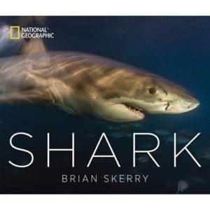 10) Shark