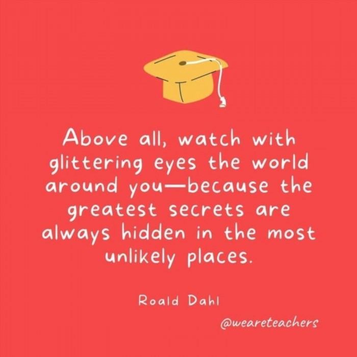 Above all, Roald Dahl encourages us to observe the world with awe and curiosity, as the most extraordinary discoveries often lie concealed in the most unexpected corners.