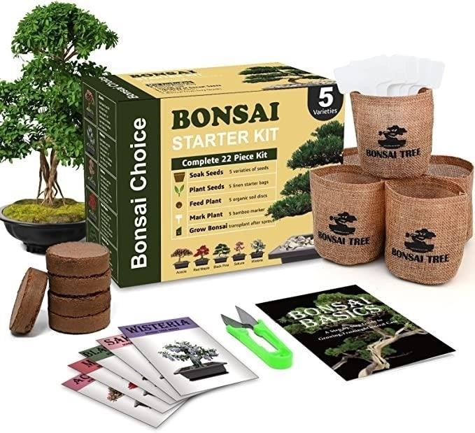 Developing a Green Thumb With a Bonsai Tree Kit can be a rewarding experience, allowing you to cultivate and nurture miniature trees while enhancing your gardening skills.