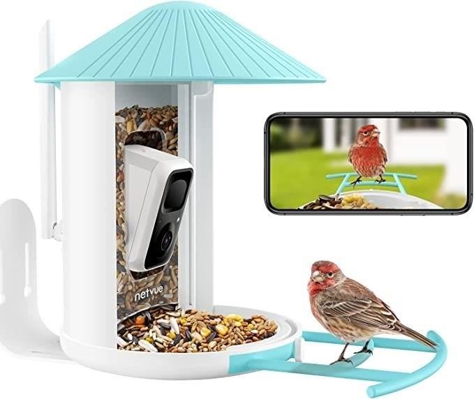 Taking up birdwatching with a smart camera bird feeder allows you to closely observe and capture the beauty of various bird species in your backyard or nearby natural habitats.
