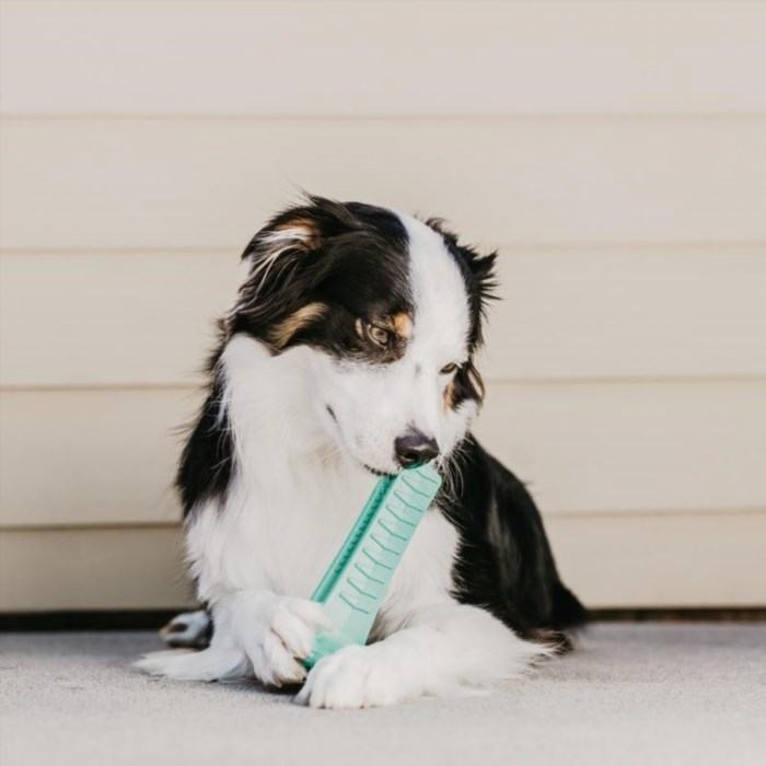 #5 - Teach Your Dog to Brush Their Own Teeth with This Rubber Brushing Stick is a convenient and effective tool to maintain your dog's oral hygiene. It provides a simple and enjoyable way for your dog to clean their teeth, promoting fresh breath and preventing dental issues.