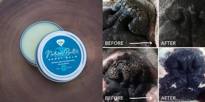#10 – Snout Balm for Those Dry, Crusty Noses Our Pups Get ($14.99) is a product that helps soothe and moisturize our furry friends' noses, providing relief from dryness and crustiness.