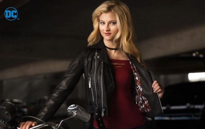 The Women's Harley Quinn Moto Jacket is a stylish and edgy fashion choice, inspired by the iconic character from DC Comics, known for her bold and rebellious personality. It features a sleek design, high-quality materials, and intricate detailing, making it a must-have for any Harley Quinn fan or fashion enthusiast.