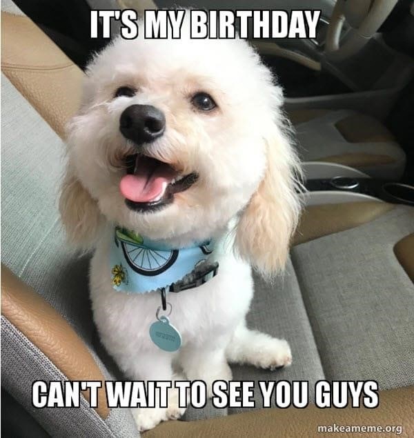 50+ It’s My Birthday Memes To Remind Your Friends