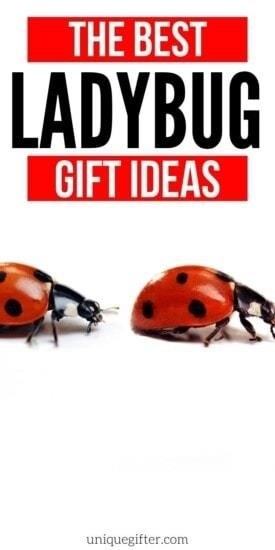 Best Gifts for Ladybug Lovers