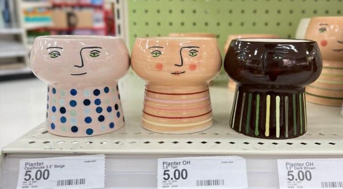 These whimsical planters are a great choice for an affordable Mother's Day gift from Target.