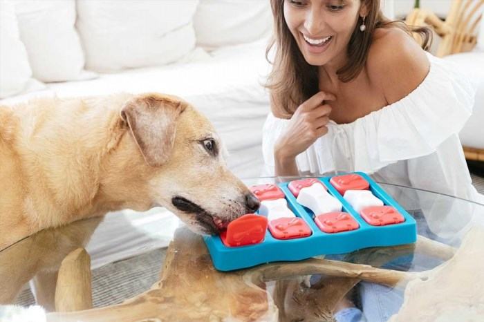 Get Well Gifts for Dogs
