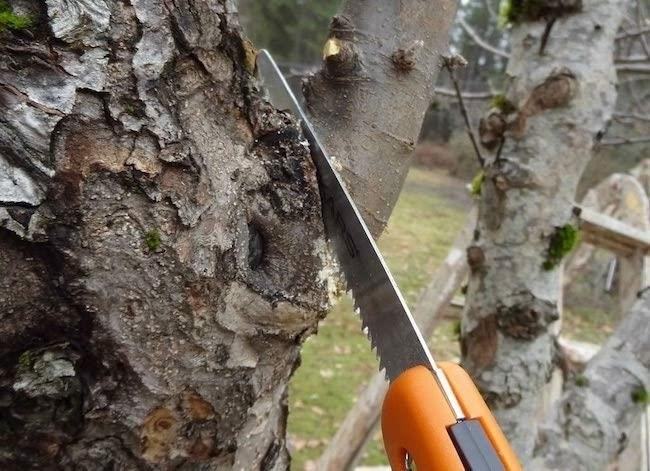 A Folding Saw is a versatile tool that can be easily folded and carried for various cutting tasks, making it a convenient choice for outdoor activities such as camping or hiking.