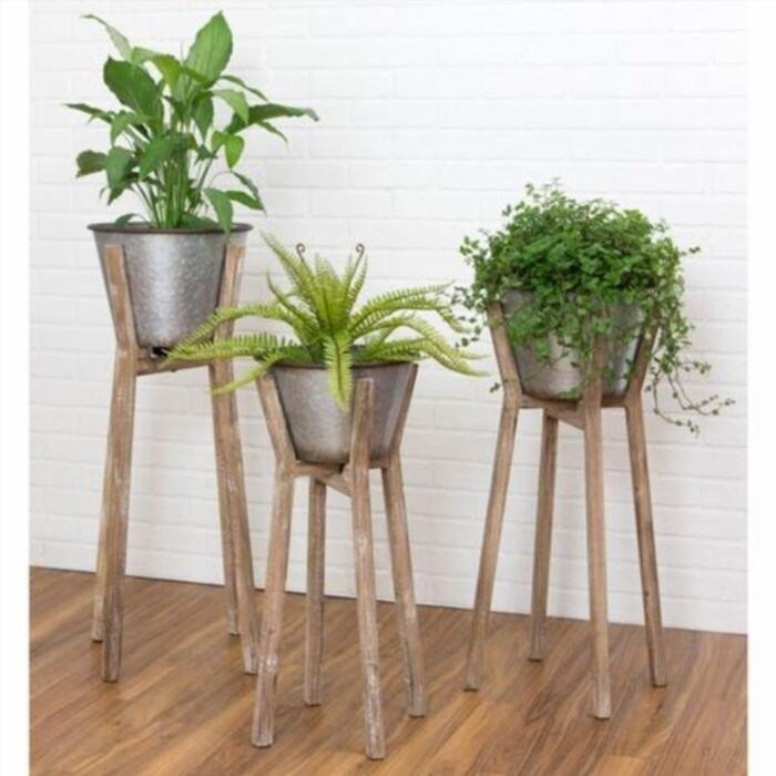 Indoor plant collection: breathtaking presents for father of boyfriends.