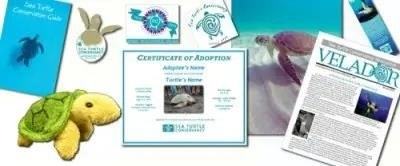 When you adopt a Sea Turtle with Sea Turtle Conservancy, you are actively contributing to the conservation efforts of these magnificent creatures and their habitats, ensuring their survival for future generations to admire and cherish.