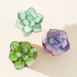 Everlasting-Stained-Glass-Succulents-a