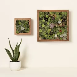 Living-Art-Succulent-DIY-Kit