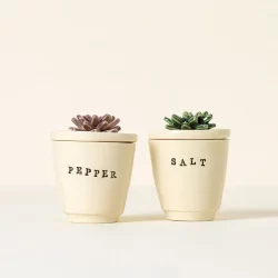 Succulent Salt & Pepper Pots 1