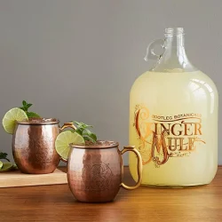 Ginger Beer Making Kit With Copper Mule Mugs