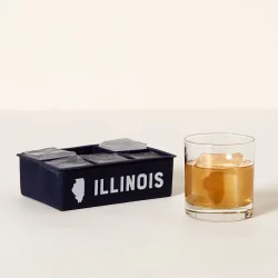 Home State Ice Cube Molds 1