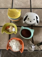 Little Dog Snack Dishes 2