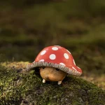 Mushroom Garden Hedgie 1