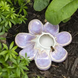 Bee & Butterfly Drinking Flower