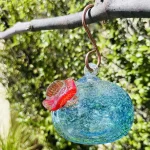 Birds Of A Feather Hummingbird Feeder C