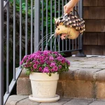 Harold The Hedgehog Watering Can 1