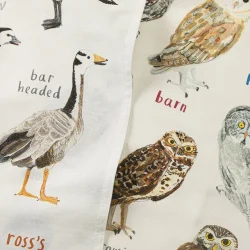 Fowl Language Tea Towels - Hooters & Honkers 1
