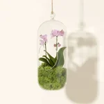 Hanging Orchid Terrarium Pink