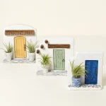 Mediterranean Doorsteps Mini Air Plants