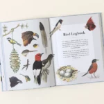 A Field Guide To Backyard Birds Of North America 3