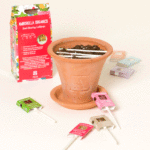 Blooming Lollipops Grow Kit