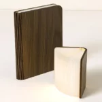 Accordion Book Lamp 2