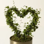 Angel Vine Heart Topiary 12