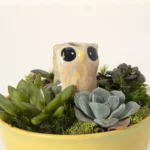 Bird & Owl Plant Watering Dripper 1