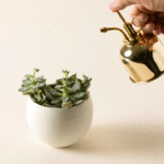 Brass Succulent Mister 2