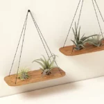 Cherry Wood Wall Swing Air Planter 1