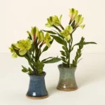 Flower Arranging Bud Vase