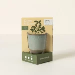 Glow & Grow Candle Grow Kit 1