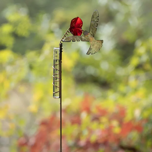 Hummingbird Rain Gauge